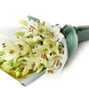 Crisp Snow Peruvian Lily Bouquet, Lily Gifts, White Lilies, Floral Gifts, Floral Bouquets, NY Same Day Delivery