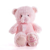 Pink Best Friend Baby Plush Bear - New York Blooms - USA gift delivery